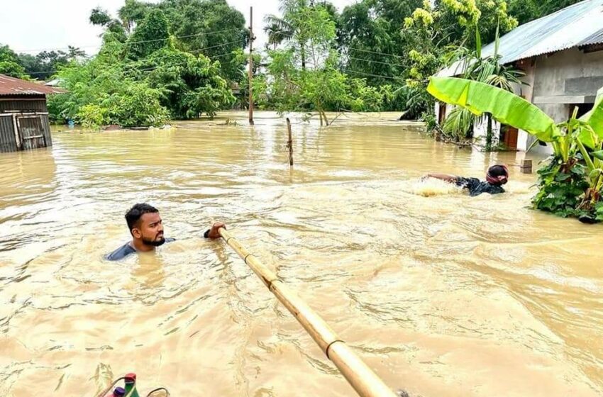  আগরতলার অসুখবিসুখ