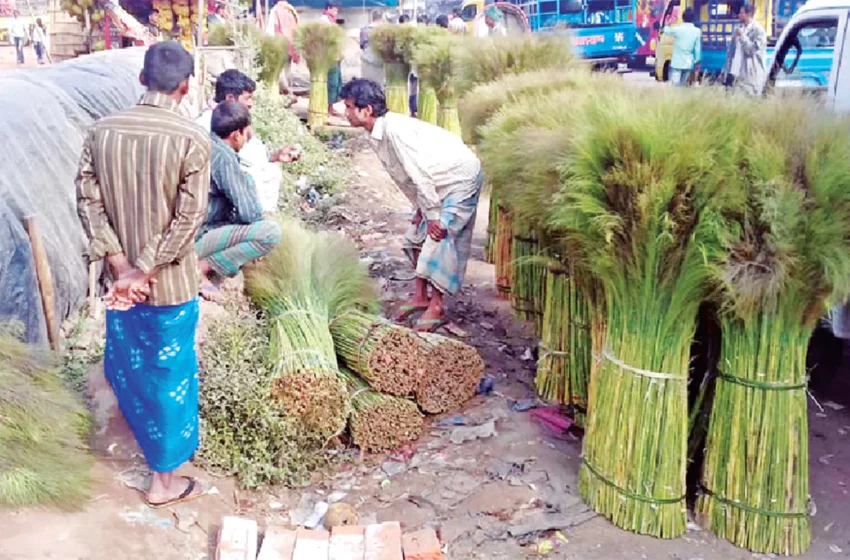  ক্ষতির মুখে রাজ্যের ফুলঝাড়ু ব্যবসায়ীরা