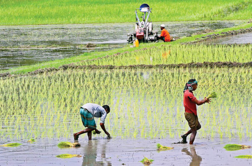  কৃষি দপ্তরে নজির