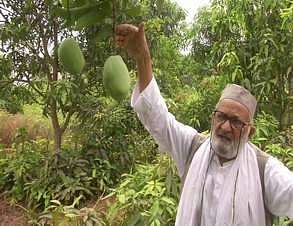 haji_kalimullah_in_his_orchard_1706chn_82