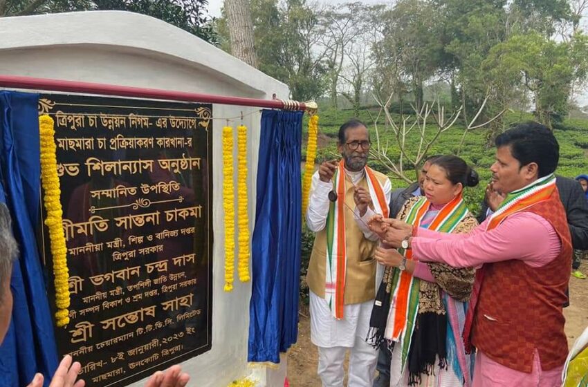  চা শিল্পের প্রসারে মাছমারা বাগানে বসছে মিনি ফ্যাক্টরি