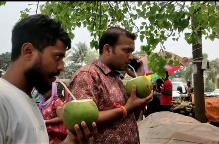  তীব্র গরমে ডাবের মূল্য একলাফে একশ টাকা!!