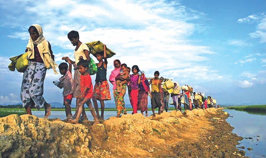  রোহিঙ্গা ইস্যুতে বিএসএফ-বিজিবি