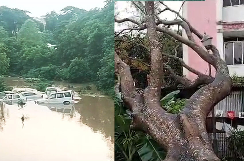  ভাঙলো গাছ, খালের জলে ভাসলো গাড়ি, টানা বর্ষণে জলনগরী রাজধানী।