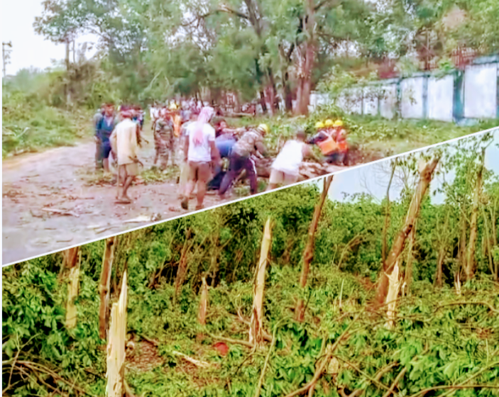  কালবৈশাখীর তান্ডবে ব্যাপক ক্ষয়ক্ষতি!