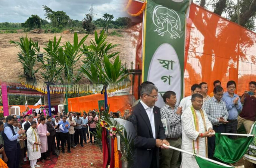  দেশের প্রথম বেসরকারী পাম গবেষণা কেন্দ্র হচ্ছে রাজ্যে: রতন!!